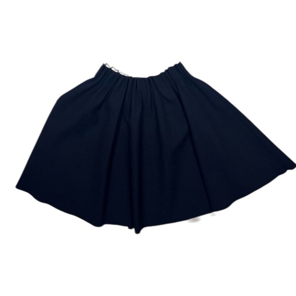 Zara Basic Dresses & Skirts - Zara Flared Skirt Elastic Waist Pleated Black- S